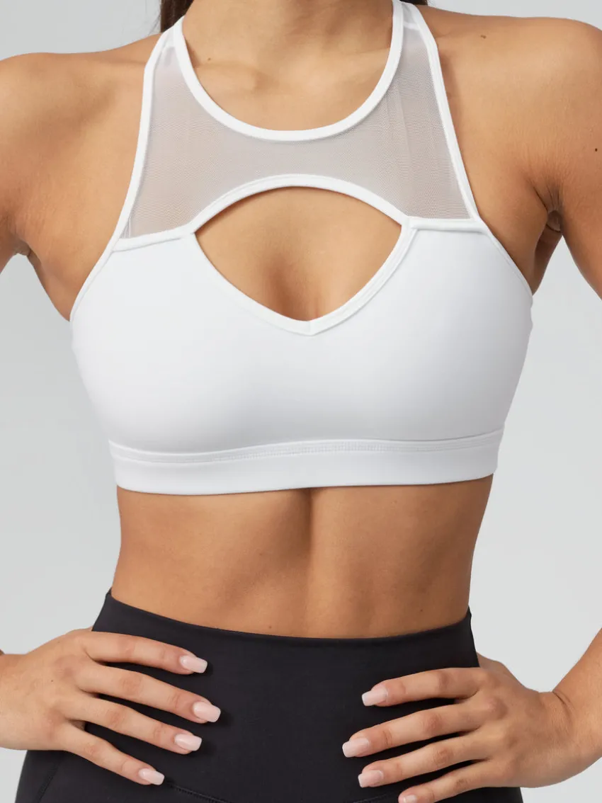 Ambrosia Sports Bra